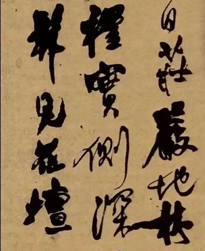 d14387f8d81c9a5e010bd2769f78769.png